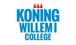 Software development